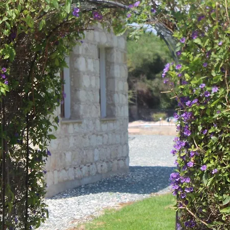 Gaia In Chrysochous Paphos Polis